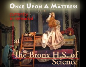 Once Upon A Mattress