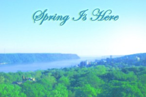 SpringIsHere